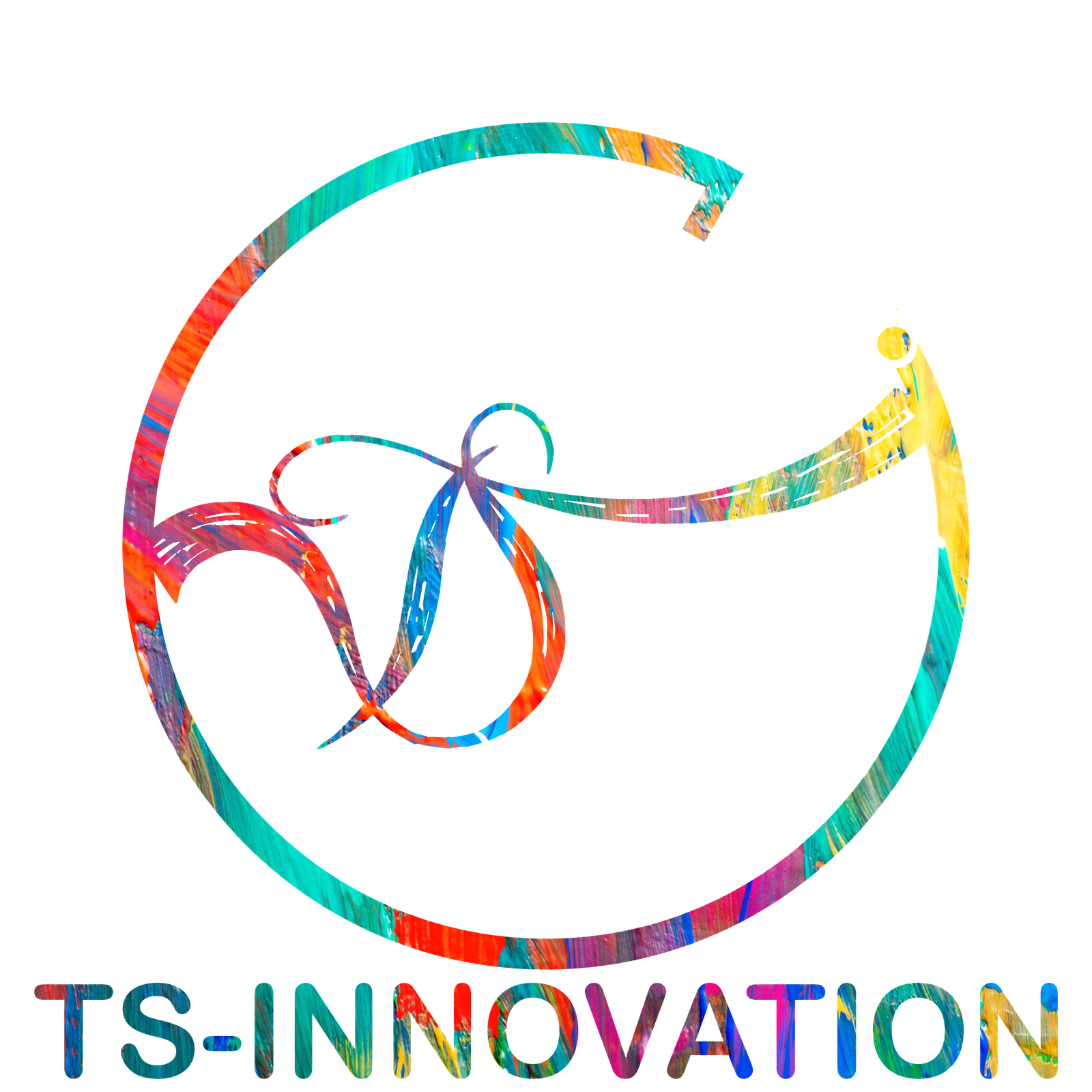 TS-INNOVATION Logo